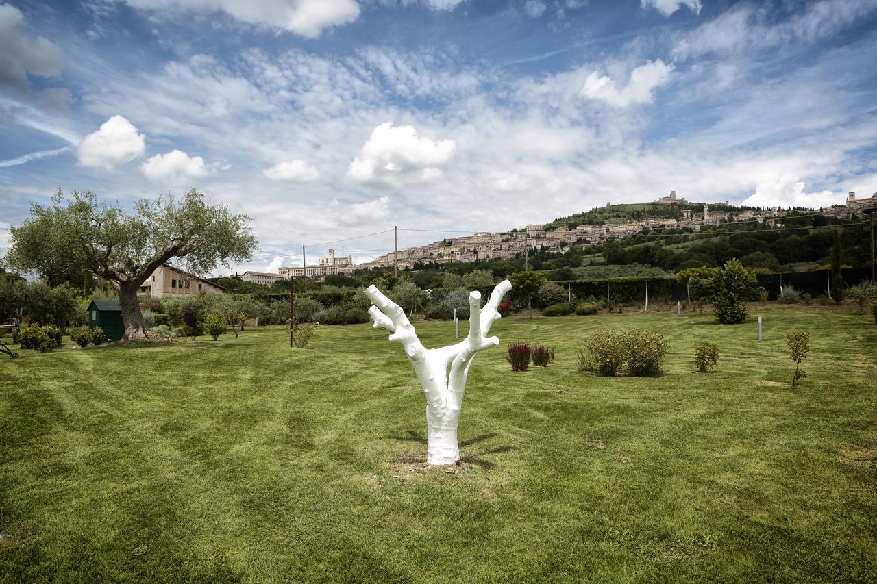Tenuta San Masseo - Boutique Farm Resort & Spa Ассизи Экстерьер фото